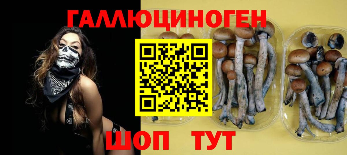Кстово  Галлюциногенные грибы Psilocybine cubensis  Вход с VPN 